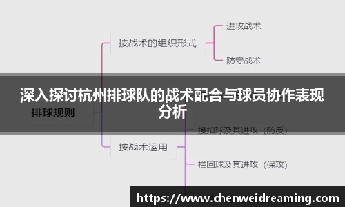 深入探讨杭州排球队的战术配合与球员协作表现分析