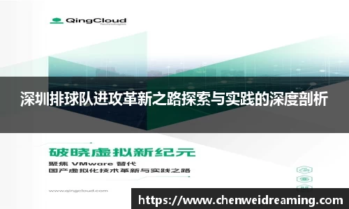 深圳排球队进攻革新之路探索与实践的深度剖析