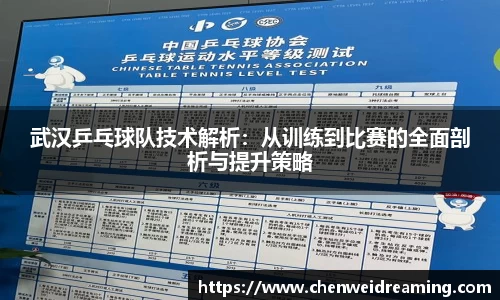 武汉乒乓球队技术解析：从训练到比赛的全面剖析与提升策略