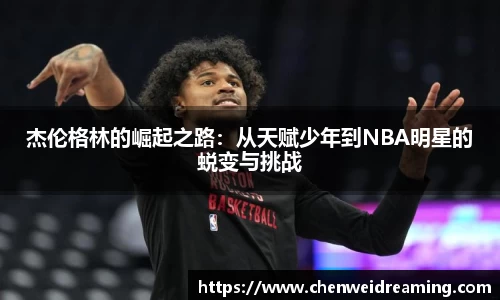 星空.综合体育官网