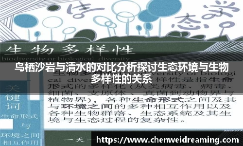 星空.综合体育(中国)官方网站